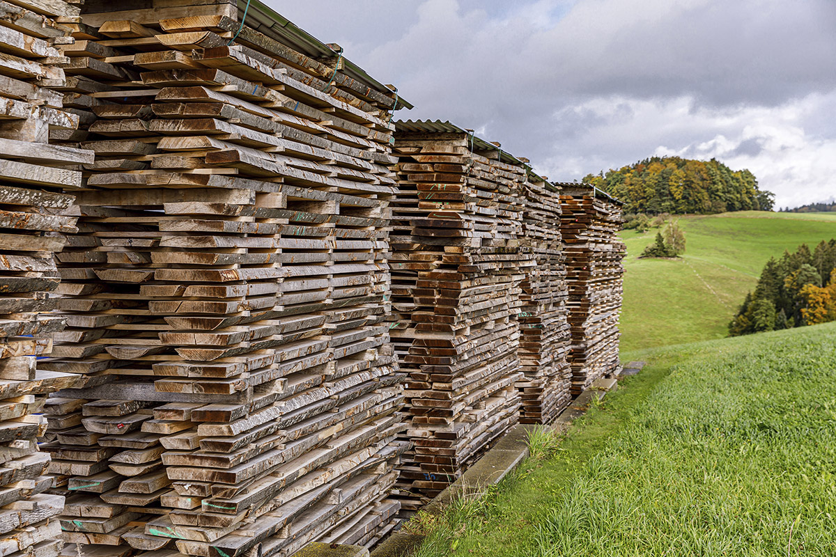 CUBORO Kugelbahnen aus nachhaltigem Schweizer Buchenholz